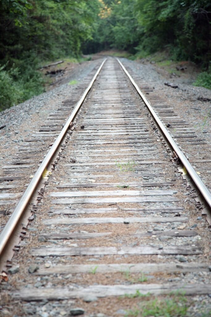 Stand By Me, il viaggio di quattro ragazzi che diventa il ricordo di tutti