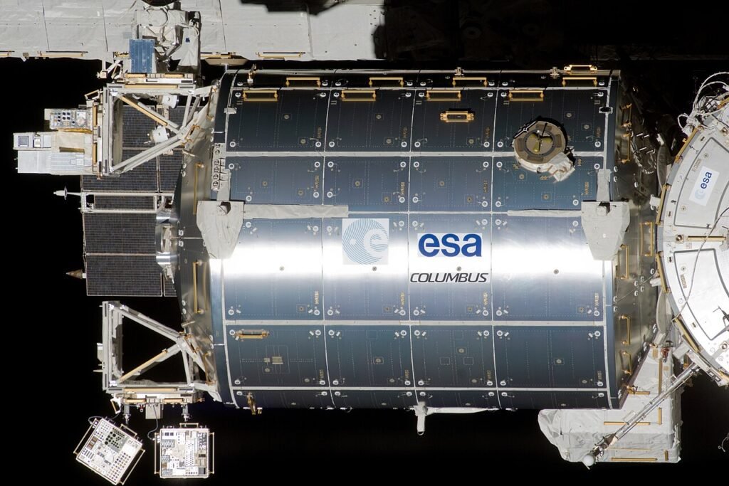Gamberetti e alghe in orbita: sulla Stazione spaziale l’esperimento guidato dal Politecnico di Torino