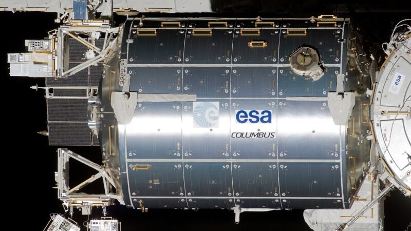 Gamberetti e alghe in orbita: sulla Stazione spaziale l’esperimento guidato dal Politecnico di Torino