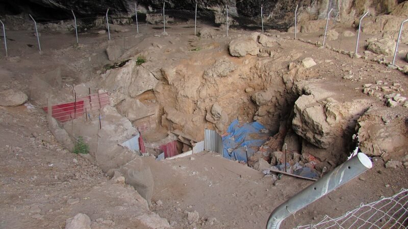 Un Neanderthal ucciso da una lancia di legno 75mila anni fa: il foro nella scapola racconta un’aggressione