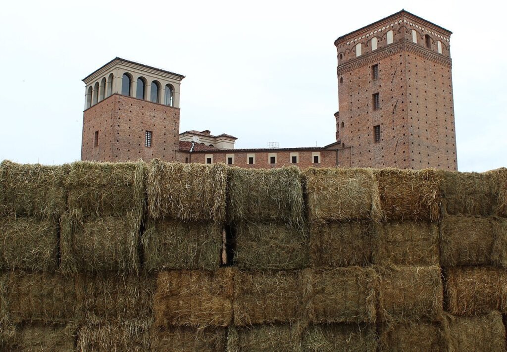 Un libro lungo nove metri scritto in carcere: «Parole Latitanti» esce dalla Casa di Reclusione di Fossano